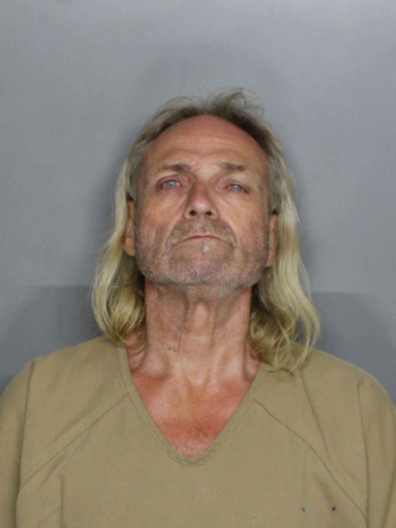 Punta Gorda Man Arrested After Firing Gun in Residential Area